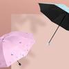 Manual Large Dual-Purpose Umbrella for Women, Sun Protection, Uv Protection, Sunshade Umbrella, Upf Sun Protection