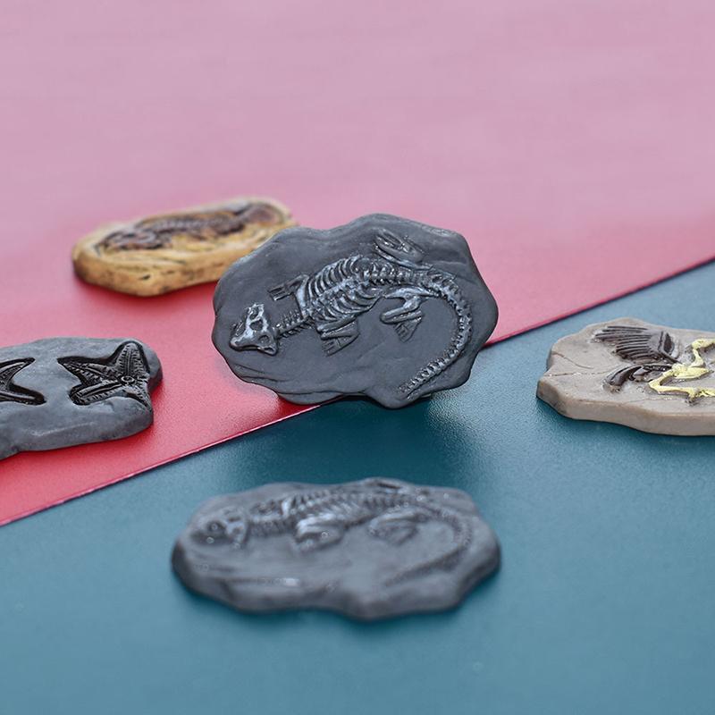 1 Stück Kinderspielzeug Simuliertes Harz Fossil Ornament Kriechendes Terrarium Dekorationen Dekorativer Behälter Landschaft Reptil