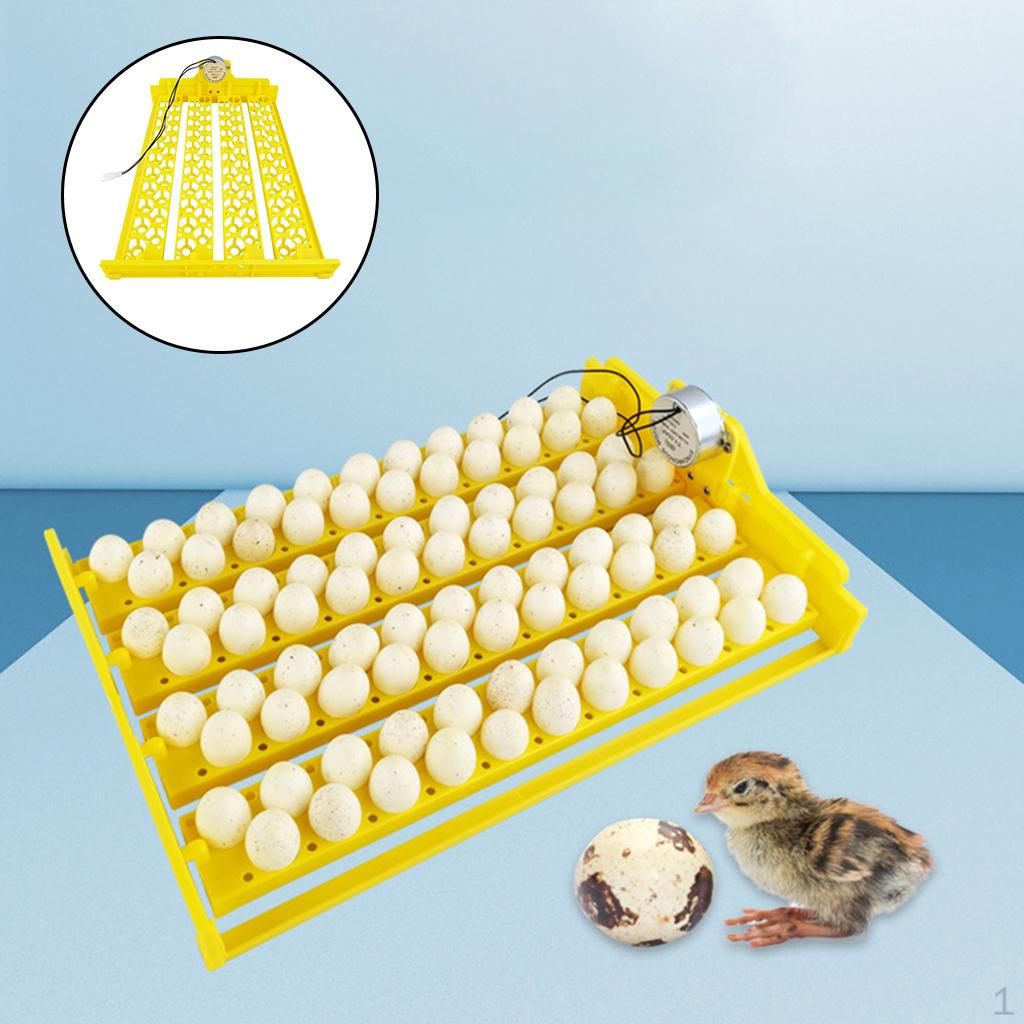 Eggs Incubator Tray with Motor Automatic Egg Turning Plate
