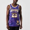 Nike NBA Retro SW Fan Edition LeBron James 23 Jersey 'Purple' Men's DA6951-504