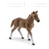 Wild Shire Horse Lipizzaner Pvc Model For Kids Educational Display