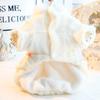Dog Clothes Autumn and Winter Clothing Thick Cat Princess Dress Soft Fluff Can Be Towed Small Dog Teddy Pet Supplies