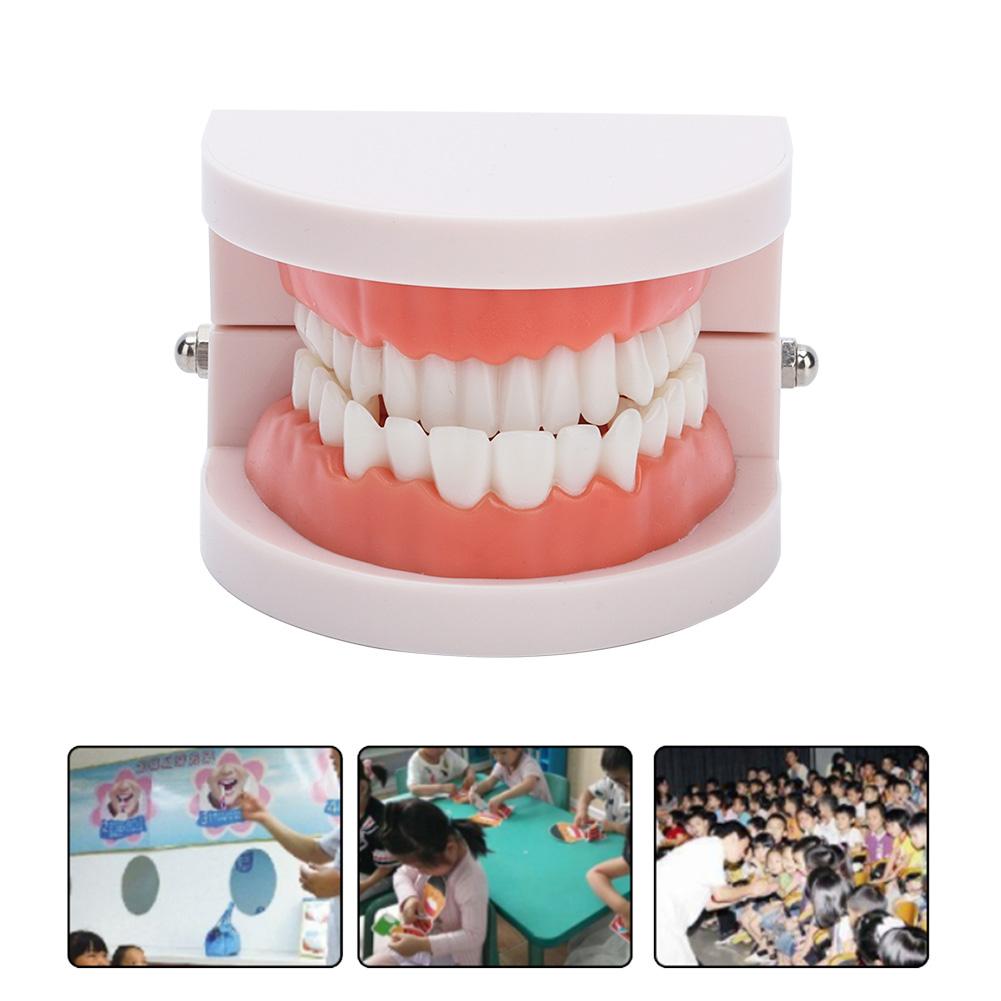 Modello Denti Dentale Typodont 1:1 Con 28 Denti Rimovibili - In Resina E Gomma Siliconica - Per Studio, Insegnamento E Pratica Odontoiatrica - 2