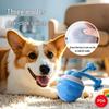 Slimme Rollende Bal: Elektrisch Hond Bijtspeeltje & Bijtbestendige Teaser voor Verveling Vermindering