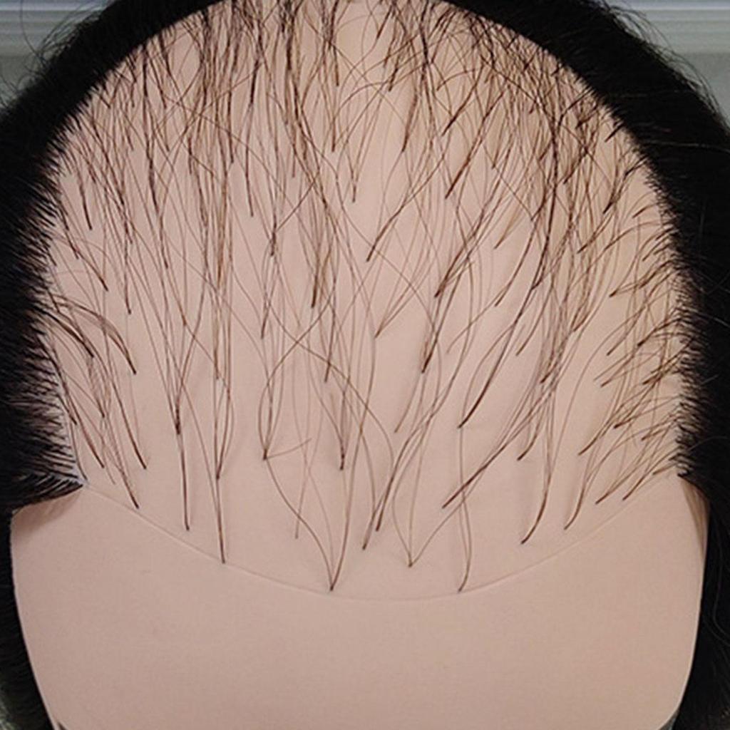 Erkek Kel Manken Baş Manken Peruk Standı Çok İşlevli, Profesyonel Peruk Gösterim Modeli