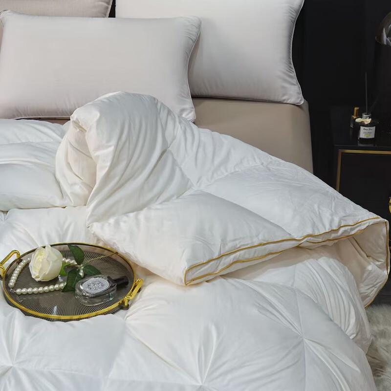 AB Premium 95% White Goose Down Quilt