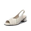 Versatile Thick Heel Fashionable Hollow Fish Mouth Sandals for Women Summer Mid Heel Buckle Sandals