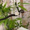 18cm Double-Sided Ancient Silver Tassel Hairpin, Vintage Hanfu Hair Stick for Women, Traditional Chinese Hair Accessory