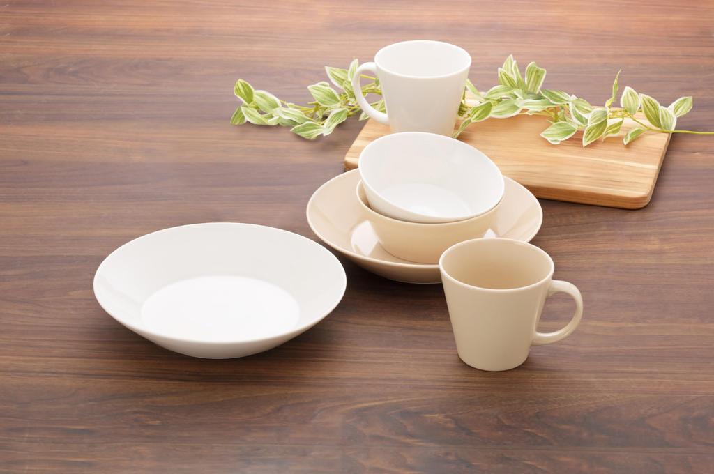 Yamaka Shoten Curry Plates, Round Plates, and Pair of Simple Happy Dining Pasta Plates (Set of 2)