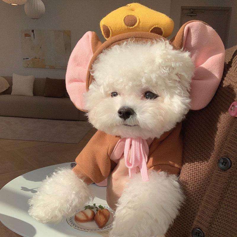 Spring and Autumn Thin Three-dimensional Mushroom Sweater Dog Clothes Funny Transformation Cat Small and Medium Dog Pet Dog Clothes