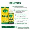 RSINC Black Seed Oil Organic Cold Pressed Pure Kalonji Oil |Rich In Omega 3,6 & 9 Essential Fatty Acids|,Hair, Skin & Overall Health