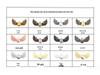 Hot Selling 24-Day Advent Calendar DIY Jewelry Surprise Box for Christmas Gifts