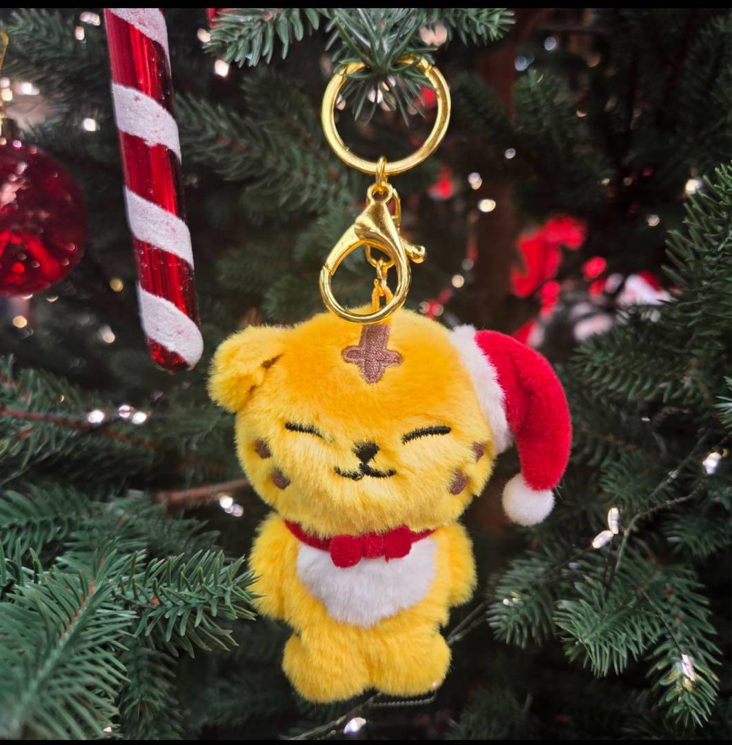 

[Б/В] SEVENTEEN MINITEEN Hoshi TAMTAM Магнітний брелок