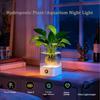 Farbwechselnde USB-betriebene Lampe Dimmbares LED-Umgebungslicht Mini-Aquariumlicht Geburtstagsgeschenk