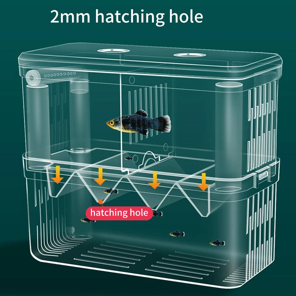 Hanging Breeding Tanks for Aquarium Small Fish Isolation Box Hatchery Box for Fish Clear Fish Spawning Box