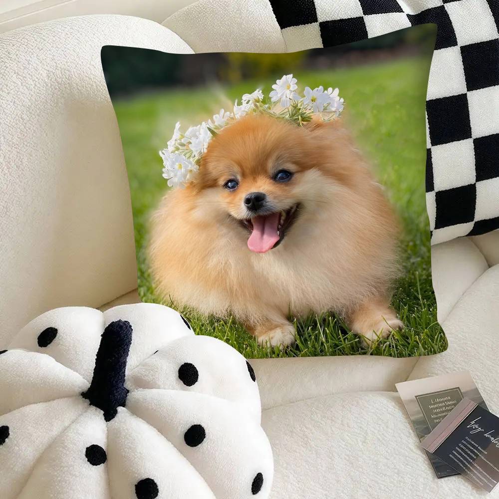 Poszewka na poduszkę dla psa rasy szpic miniaturowy Modna kwadratowa poszewka na poduszkę Sypialnia Sofa Pokój Dekoracja Ins Wypoczynek