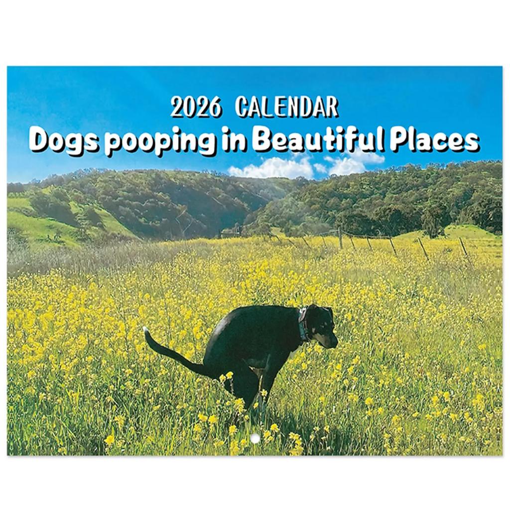 Calendar 2026 Dogs Pooping In Beautiful Places Funny Gag Gifts Thick Paper Wall Calendar Christmas Home Decor Planning Organizer