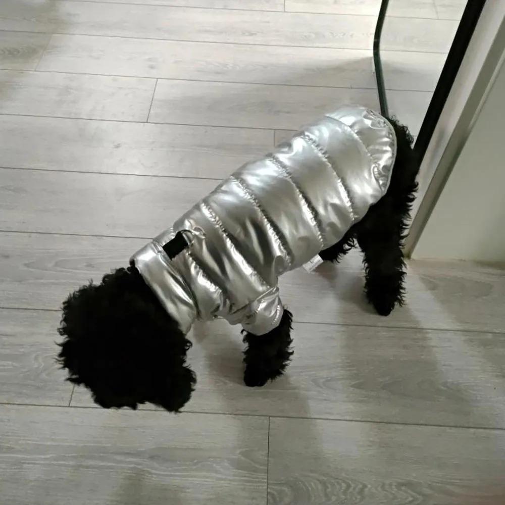 Thicken Winter Dog Clothes Bright Color Pet Coat Outfits Casual Puppy Jacket Clothing  Pet Supplies