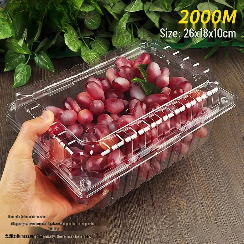Hanton Disposable Fruit Container