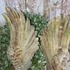 2 angel wings on a resin base decorative figurine