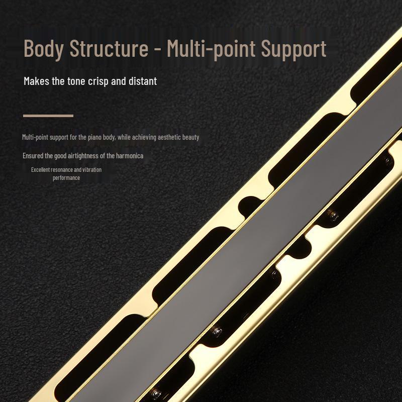 Guoguang 24-Hole Double Reed Harmonica, C Key for Beginner Students and Self-Study, Suitable for All Ages