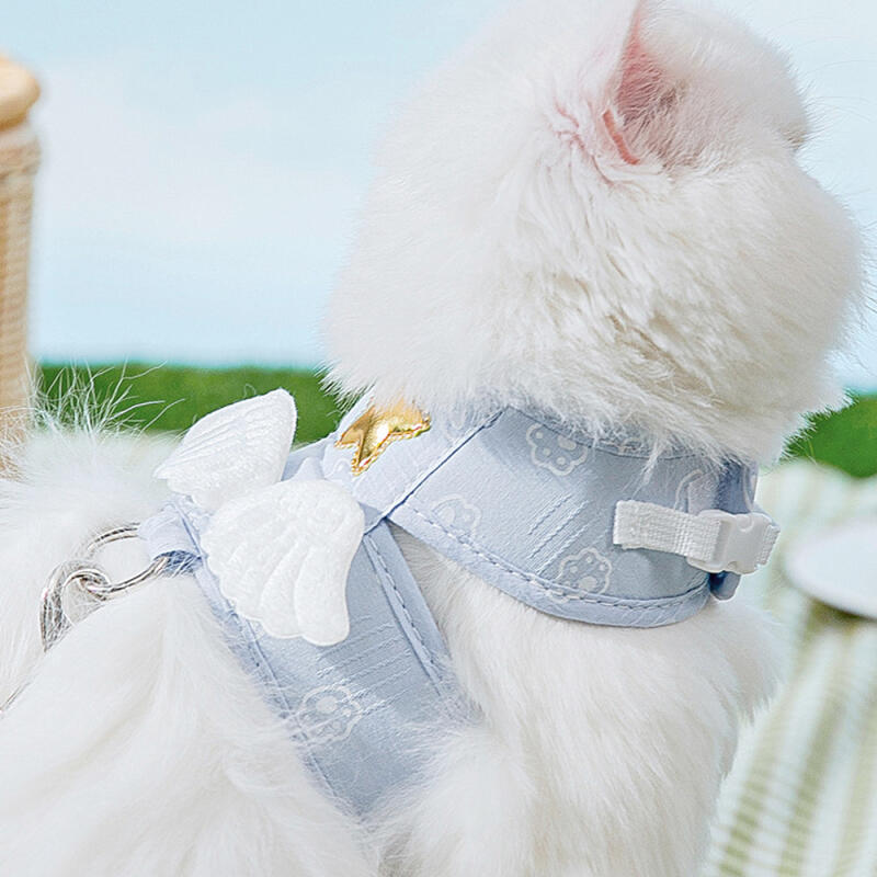 Pet Angel Harness + Leash (XL) (Sky)