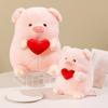 Girl heart cute love pig doll plush toy heart pig doll children accompany soothing doll
