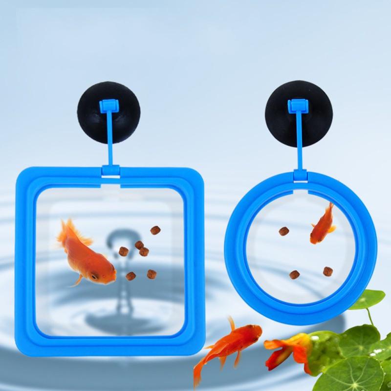 1pc Plastic Fish Food Ring Fish Tank Small Type Tropical Fish Feeder Aquarium Accessories
