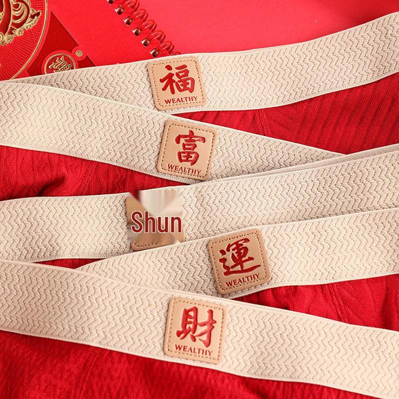 Men's Year of Birth Cotton Boxer Briefs - Breathable, Antibacterial, New Year Design