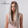 ALAN EATON Ash Grey Brown Mixed Synthetic Wigs for Women Long Straight Middle Part Hair Wigs Daily Cosplay Use Heat Resistant