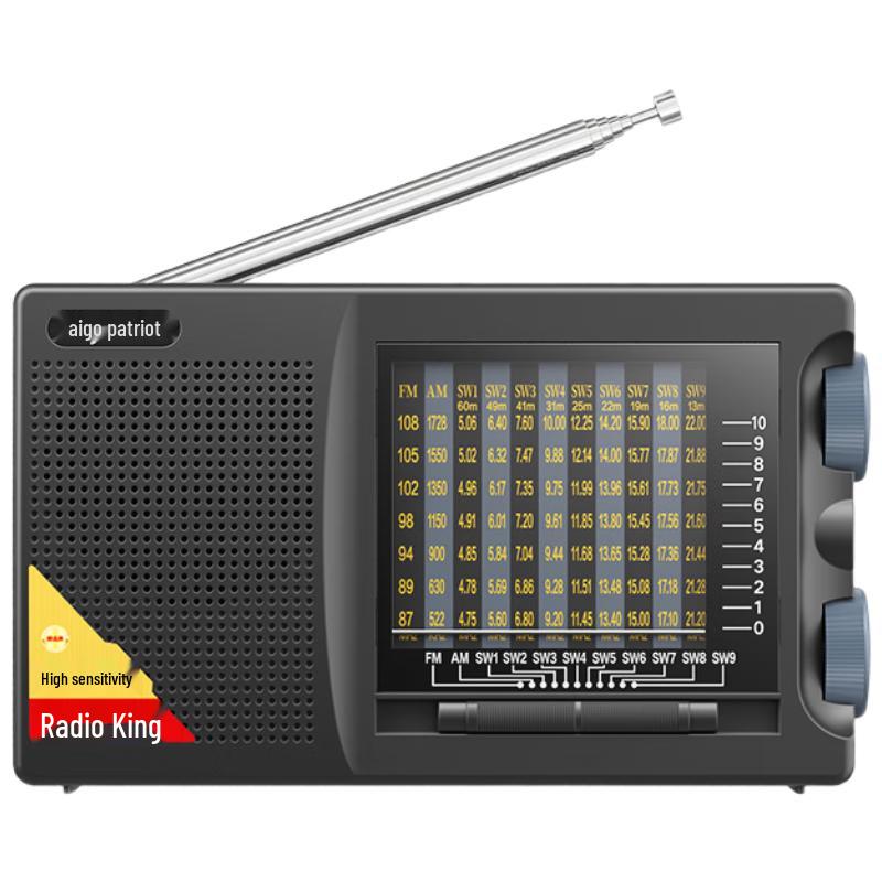 Aigo Bärbar Multifunktionsradio Spelare CN-kontakt (adapter ingår)