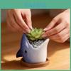 Handcrafted Ceramic Flower Container With Cartoon Shark Style For Office And Home Use