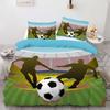 Boy'S Sports Duvet Cover Set, Football And Basketball Bedding Sets 2-Piece With Pillowcases Bedroom Decor For Adult Children