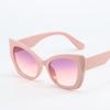 2023 Trendy European & American Women's Large Frame Street Style Sunglasses - Sun Protection & Bare Face Design