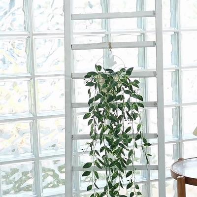 Dualswish צמחים ירוקים מלאכותיים לקישוט הבית 5 שיניים תליית קיר גפן מלאכותית מטפסים צמחים ירוקי גפן