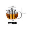 Large-Capacity Heat-Resistant Glass Teapot with Stainless Steel Filter