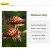 Resin Mushroom Ornaments for Outdoor Garden and Lawn Decor