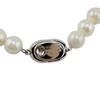 Ceremonial occasion Akoya Pearl Necklace Akoya Pearl white Women Used
