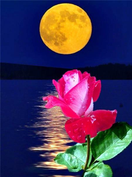 5D DIY Diament Malarstwo Nowy Kwiat Róży Dżetów Diament Haft Sprzedaż Krajobraz Nadmorski Mozaika Wystrój Domu