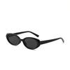 2025 new sunglasses Elliptical cat eye black sunglasses for women retro and trendy European and American bloggers,