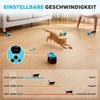 Interactive Cat Toy for Indoor Kittens & Adult with Adjustable Speed, DIY Track & Mouse Sound