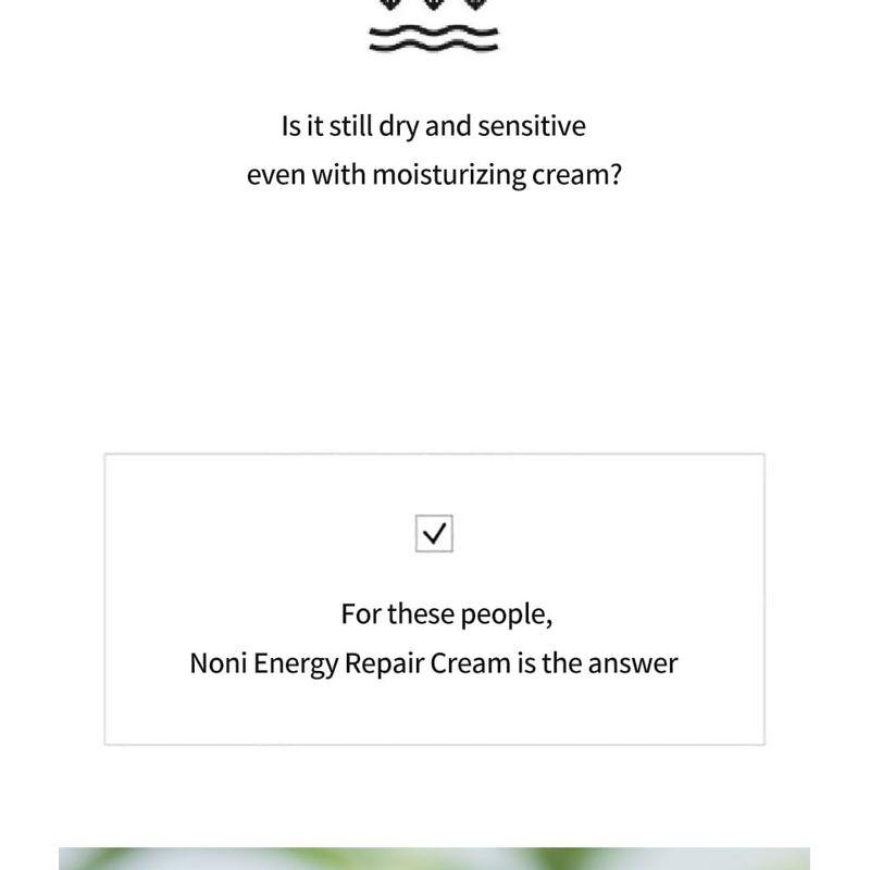 celimax - The Real Noni Energy Repair Cream Mini