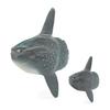 Marine Animal Sunfish Pvc Model With Realistic Sunfish Design For Childrens Educational Decor