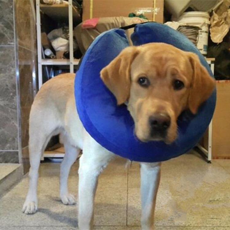 Pet Anti-Bite & Scratch Inflatable Collar and Mask for Dogs & Cats