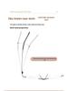 Men's Business Rimless Super Elastic Alloy Eyeglass Frame, Ultralight & Stylish for Myopia