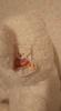 [USED] TEDDY BEAR SHOP Nagoya Akashimaya Teddy Bear