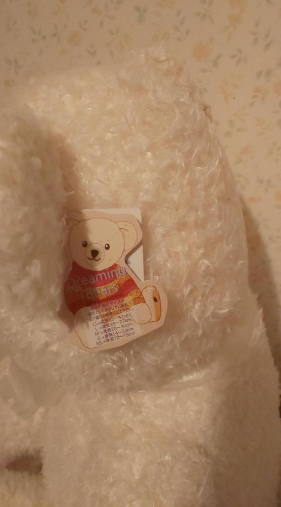 [USED] TEDDY BEAR SHOP Nagoya Akashimaya Teddy Bear