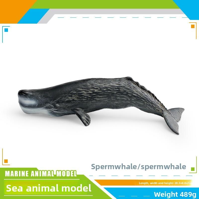 Ensemble de modèles en PVC d'animaux marins pour enfants avec des figures de cétacés réalistes pour le jeu éducatif