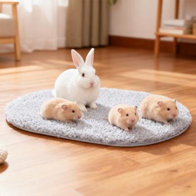 Productos para mascotas – Roedores