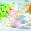 Microlandscape Ocean Beach Landscaping Ornaments Colorful Luminous Shell Pearl Ornaments Fish Tank Aquarium Resin Ornaments